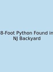 8-Foot Python Found In NJ Backyard