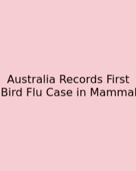 Australia Records First Bird Flu Case In Mammal