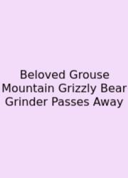 Beloved Grouse Mountain Grizzly Bear Grinder Passes Away