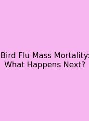 Bird Flu Mass Mortality: What Happens Next?