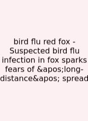Bird Flu Red Fox - Suspected Bird Flu Infection In Fox Sparks Fears Of 'long-distance' Spread