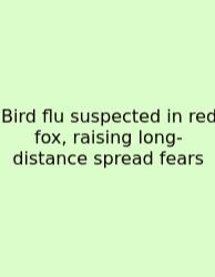 Bird Flu Suspected In Red Fox, Raising Long-distance Spread Fears