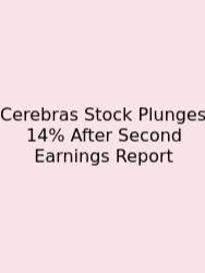 Cerebras Stock Plunges 14% After Second Earnings Report