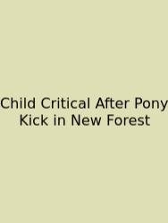 Child Critical After Pony Kick In New Forest
