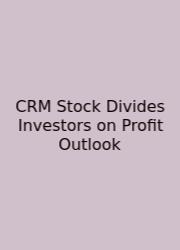 CRM Stock Divides Investors On Profit Outlook