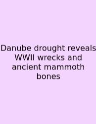 Danube Drought Reveals WWII Wrecks And Ancient Mammoth Bones