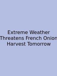 Extreme Weather Threatens French Onion Harvest Tomorrow