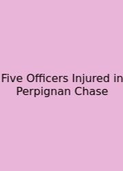 Five Officers Injured In Perpignan Chase