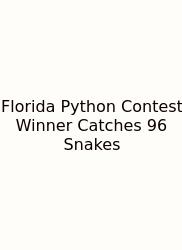 Florida Python Contest Winner Catches 96 Snakes