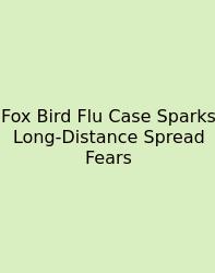 Fox Bird Flu Case Sparks Long-Distance Spread Fears