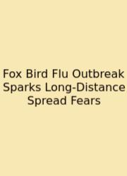 Fox Bird Flu Outbreak Sparks Long-Distance Spread Fears