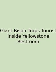 Giant Bison Traps Tourist Inside Yellowstone Restroom