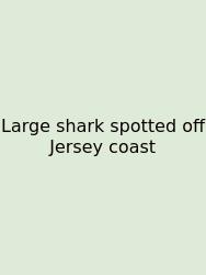 Large Shark Spotted Off Jersey Coast