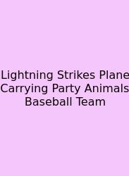 Lightning Strikes Plane Carrying Party Animals Baseball Team