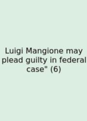 Luigi Mangione May Plead Guilty In Federal Case