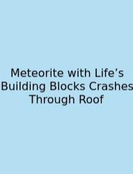 Meteorite With Life’s Building Blocks Crashes Through Roof