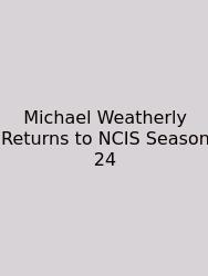 Michael Weatherly Returns To NCIS Season 24