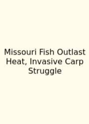 Missouri Fish Outlast Heat, Invasive Carp Struggle