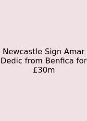 Newcastle Sign Amar Dedic From Benfica For £30m