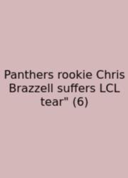 Panthers Rookie Chris Brazzell Suffers LCL Tear