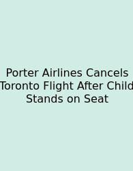 Porter Airlines Cancels Toronto Flight After Child Stands On Seat