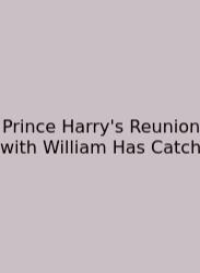 Prince Harry's Reunion With William Has Catch