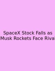 SpaceX Stock Falls As Musk Rockets Face Rival