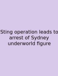 Sting Operation Leads To Arrest Of Sydney Underworld Figure