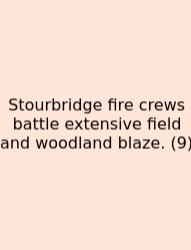 Stourbridge Fire Crews Battle Extensive Field And Woodland Blaze. (9)