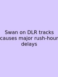 Swan On DLR Tracks Causes Major Rush-hour Delays