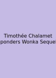 Timothée Chalamet Ponders Wonka Sequel