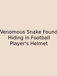 Venomous Snake Found Hiding In Football Player's Helmet