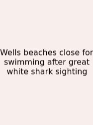 Wells Beaches Close For Swimming After Great White Shark Sighting