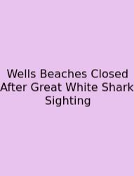 Wells Beaches Closed After Great White Shark Sighting