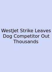 WestJet Strike Leaves Dog Competitor Out Thousands