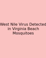 West Nile Virus Detected In Virginia Beach Mosquitoes