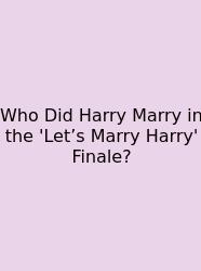 Who Did Harry Marry In The 'Let’s Marry Harry' Finale?