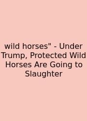 Wild Horses