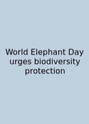 World Elephant Day Urges Biodiversity Protection